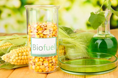 Foundry biofuel availability